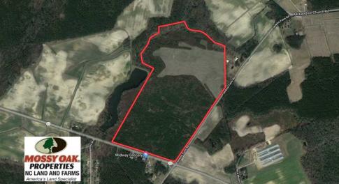 Photo of SOLD!!  121.43 Acres of Farm and Timber Land For Sale in Edgecombe County NC!