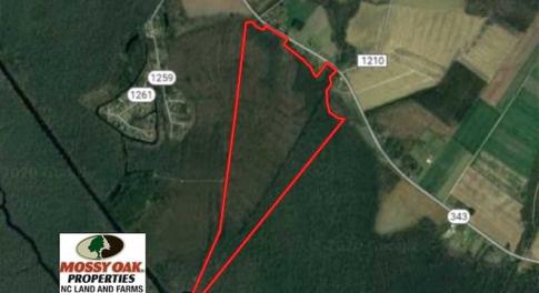 Photo of SOLD!! 142.05 Acres of Hunting Land For Sale in Camden County NC!