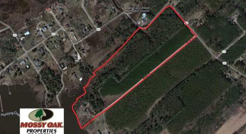 Photo of 27 Acres of  Waterfront Property For Sale in Accomack County VA!