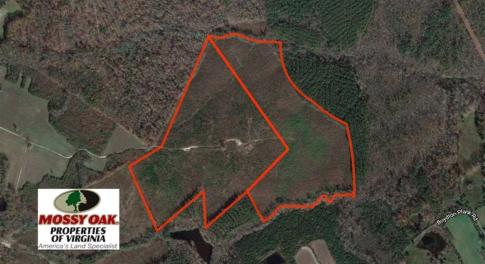 Photo of REDUCED!  103 Acres of Hunting and Investment Land For Sale in Dinwiddie County VA!