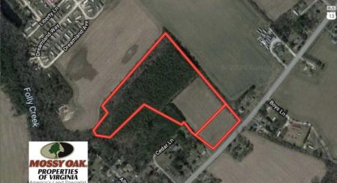 Photo of SOLD!!  20 Acres of  Farm and Timber Land For Sale in Accomack County VA!