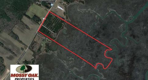 Photo of SOLD!!  69 Acres of Land with Farm House and Great Views in Accomack County VA!