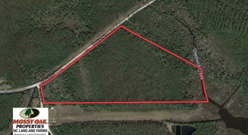 Photo of SOLD!!  26.94  Acres of Hunting Land for Sale in Pamlico County NC!