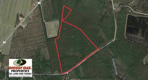Photo of SOLD!!  50.29  Acres of Hunting Land for Sale in Pamlico County NC!