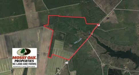 Photo of SOLD!!  218 Acres of Farm and Timber Land in Pamlico County NC!
