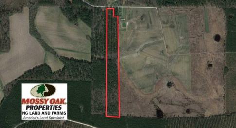 Photo of SOLD!!  19.5 Acres of Hunting and Timber Land for Sale in Halifax County NC!