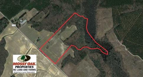 Photo of REDUCED! 49 Acres of Farm and Timber Land For Sale in Halifax County NC!