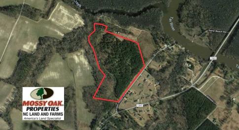 Photo of SOLD!!  36 Acres of  Timber Land For Sale in Pitt County NC!