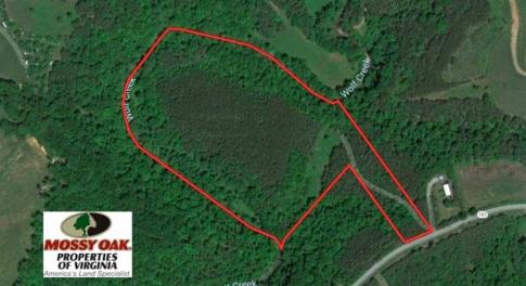Photo of SOLD!!  24 Acres of Hunting and Recreational Land For Sale in Bedford County VA!