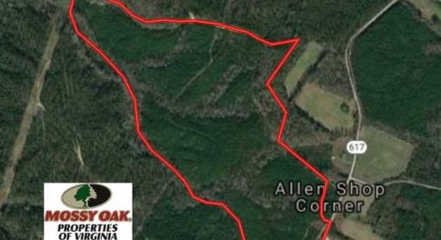 Photo of 102 Acres of Timber and Hunting Land in King and Queen Co. VA!