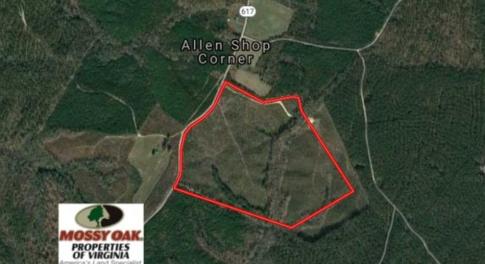 Photo of 98 Acres of Timber and Hunting Land for Sale in King and Queen Co. VA!