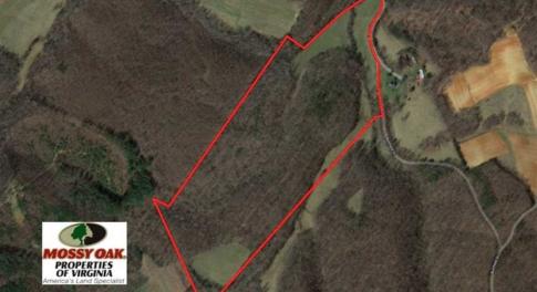 Photo of SOLD!!  54 Acres of Hunting and Recreational Land For Sale in Franklin County VA!