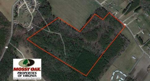 Photo of SOLD!!  38 Acres of Timber and Hunting Land For Sale in Accomack County VA!