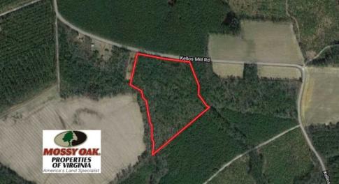 Photo of SOLD!!  16 Acres of Hunting Land For Sale in Southampton County VA!