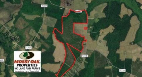 Photo of SOLD!!  245 Acres of Hunting Land with Cabin for Sale in Gates County NC!