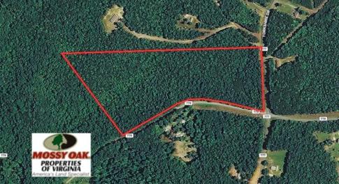 Photo of 24 Acres of Hunting and Recreation Land For Sale in Pittsylvania County VA!