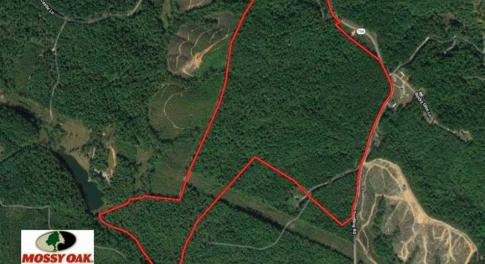 Photo of UNDER CONTRACT!!  156 Acres of Hunting and Recreation Land for Sale in Franklin County VA!