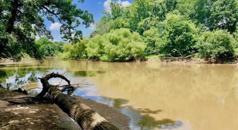 Photo of SOLD!!  13.38 Acres of Riverfront Timber and Hunting Land For Sale in Wayne County NC!
