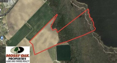 Photo of UNDER CONTRACT!!  66 Acres of Waterfront Farm and Development Land in Currituck County NC!