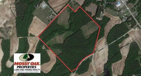 Photo of SOLD!!  65.24 Acres of Timber and Hunting Land For Sale in Nash County NC!