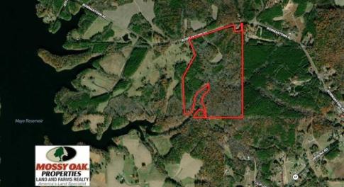 Photo of UNDER CONTRACT!!  85.62 +/- Acres of Hunting and Farm Land For Sale in Person County NC!
