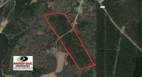 Photo of SOLD!!  33.41 Acres of Hunting and Timber Land For Sale in Beaufort County NC!