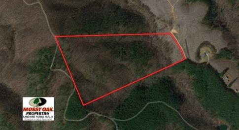 Photo of SOLD!!  52.96 Acres of Hunting Land For Sale in Franklin County VA!