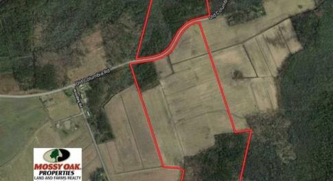 Photo of REDUCED!  97 Acres of Farm and Timber Land For sale in Tyrrell County NC!