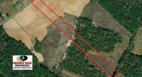 Photo of SOLD!!  9.06 Acres of Residential Farm Land For Sale in Halifax County NC!