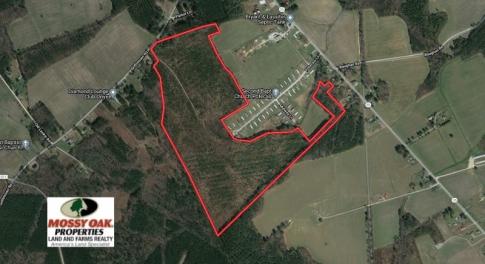 Photo of SOLD!!  105 Acres of Hunting and Timber Land For Sale in Northampton County NC!