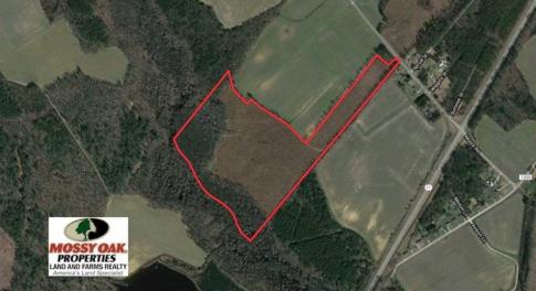 Photo of 55 Acres of Timber and Hunting Land For Sale in Bertie County NC!