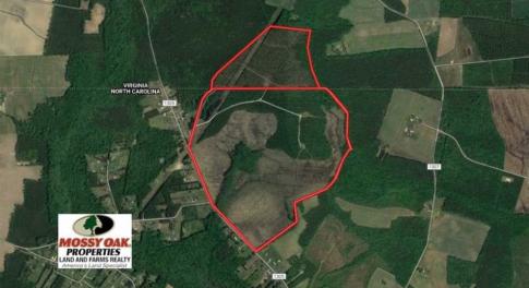 Photo of 297 Acres of Timber and Hunting Land For Sale in Gates County NC and Suffolk VA!