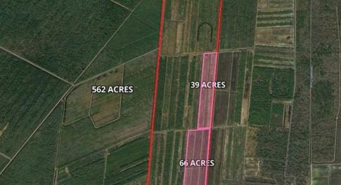 Photo of 564 Acres of Hunting Land For Sale in Hyde County NC!