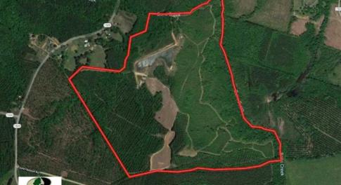 Photo of 200 Acres of Hunting Timberland and Agriculture Land For Sale with Pond in Warren County NC!