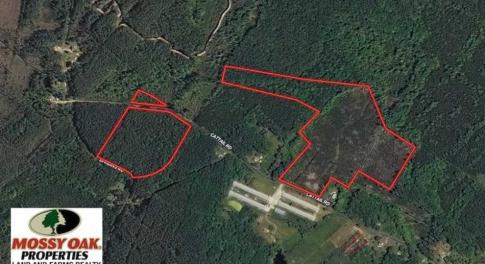 Photo of SOLD!!  36.5 Acres of Hunting Land for Sale in Accomack County Virginia!
