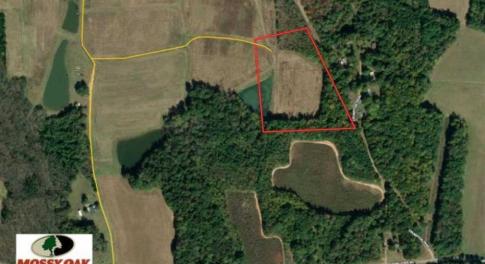 Photo of 10.01 Acre Homesite with Pond for Sale in Alamance County NC!