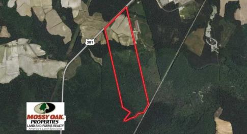Photo of REDUCED! 177 Acres of Farm and Hunting Land For Sale in Nash County NC!
