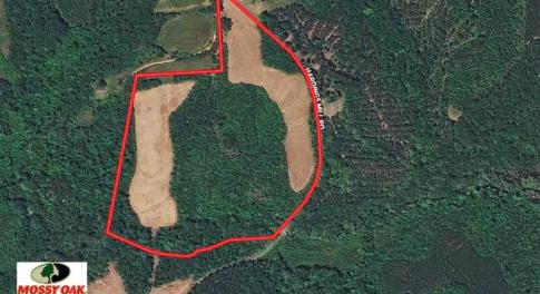 Photo of SOLD!!  36 Acres of Hunting Land for Sale in Halifax County VA!