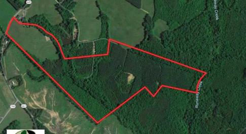 Photo of 100 Acres of Hunting Land For Sale in Halifax County VA!