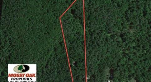 Photo of SOLD!!  7.5 Acres of Residential and Hunting Land For Sale in Amherst County VA!