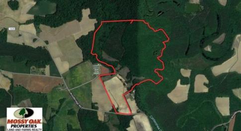 Photo of SOLD!!  148 Acres of Farm and Timber Land & 25% Interest in 128 Acres of Timber Land For Sale in Wilson County NC!