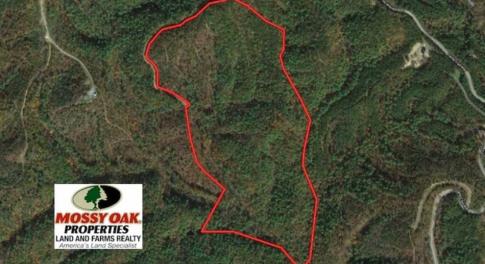 Photo of SOLD!!  55 Acres of Hunting and Recreational Land For Sale in Alleghany County VA!