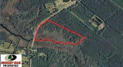 Photo of REDUCED! 17.82 Acres of Hunting Land for Sale in Pamlico County NC!