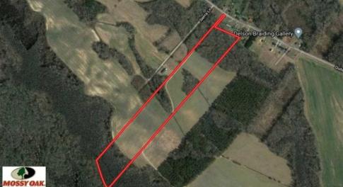 Photo of UNDER CONTRACT!!  31 Acre Timber and Farm Land for Sale in Bertie County NC!