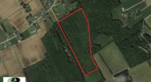 Photo of 20.23 Acres of Hunting and Residential Land For Sale in Robeson County NC!