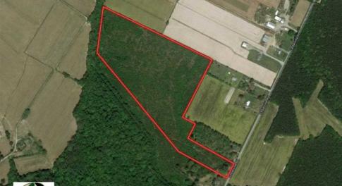 Photo of SOLD!!  32 Acres of Residential and Hunting Land For Sale in Chesapeake City VA!
