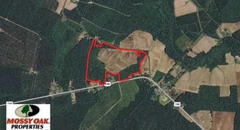 Photo of 80 Acres of Farm and Hunting Land for Sale in Gates County NC!