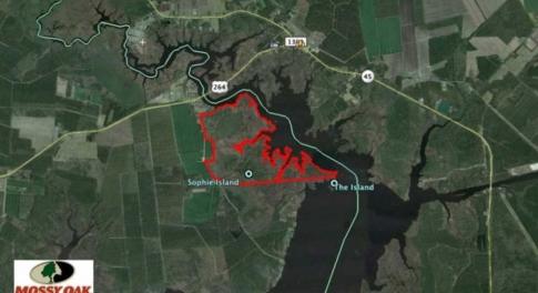 Photo of SOLD!!  547 Acres of Waterfront Hunting Land For Sale in Beaufort County NC!