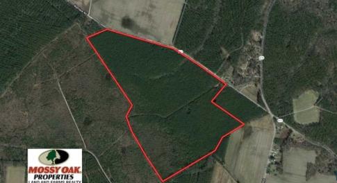 Photo of SOLD!!  138 Acres of Hunting Land For Sale in Southampton County VA!