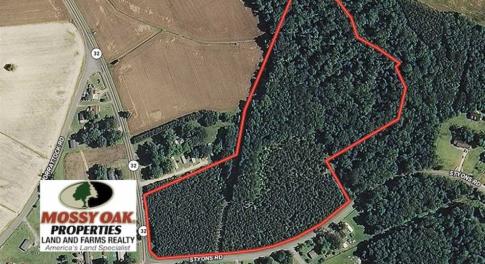 Photo of SOLD!!  22.72 Acres of Recreational Timberland For Sale in Washington County NC!